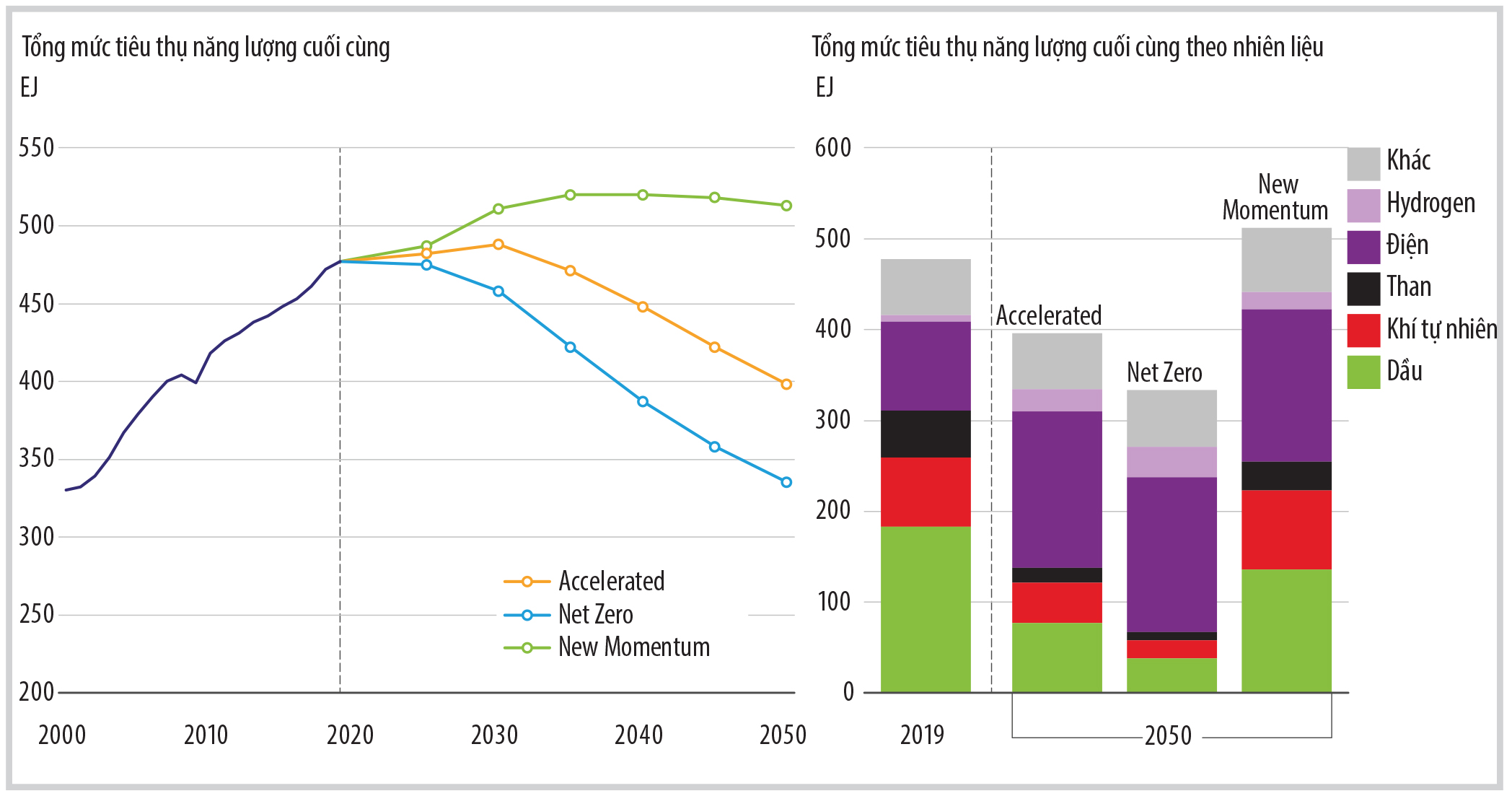 Hình 1. Nhu cầu năng lượng theo 3 kịch bản của BP: Tăng tốc (Accelerated), Phát thải ròng bằng 0 (Net Zero) và Động lực mới (New Momentum) [1].